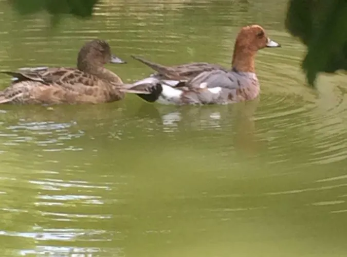 La Mare Aux Canards 3* Cordieux