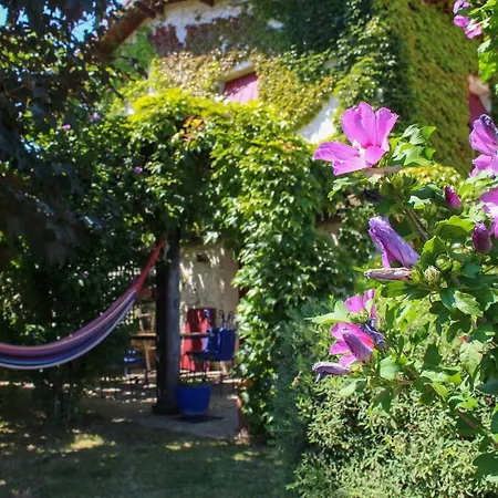 La Mare Aux Canards Bed & Breakfast